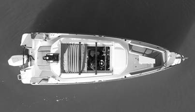 HAYLU For Sale image13