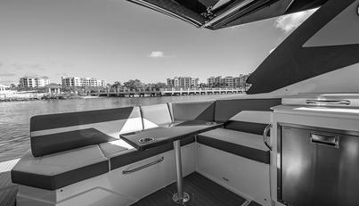 LICENSE TO CHILL For Sale image11