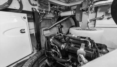 Gail’s Storm IV For Sale image99
