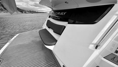 STINGRAY For Sale image14