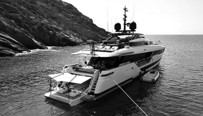SODAN For Sale image6