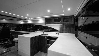 Greyhound For Sale image32