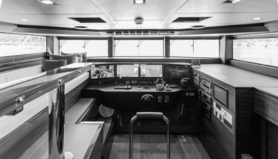 PAPILLON For Sale image15