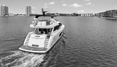 MILAMO For Sale image4