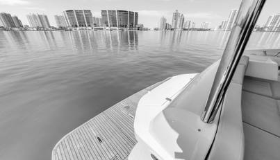 My Toy For Sale image16