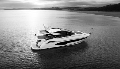 STINGRAY For Sale image1