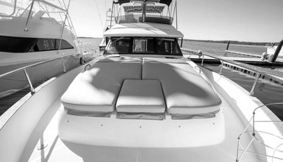 Rumble Bee For Sale image6