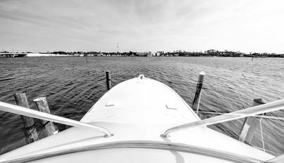 noname For Sale image6