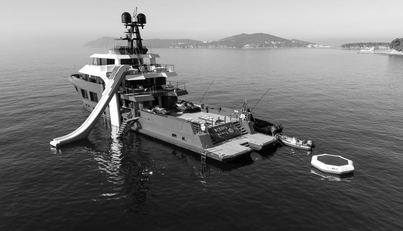 KING BENJI For Sale image6