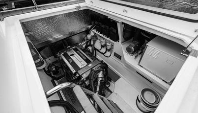 Nautilus For Sale image47
