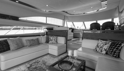 Enzo For Sale image22