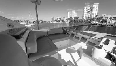 HOLY MOLY For Sale image18