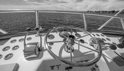 noname For Sale image21