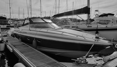 ELIE For Sale image5
