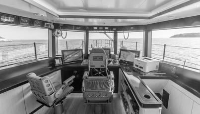 VANGUARD For Sale image15