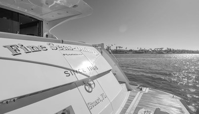 FINE SEAS-ONINGS For Sale image22