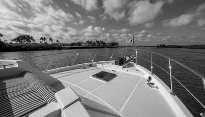 CARA MIA For Sale image3