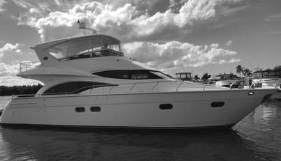 SILVER LINING For Sale image1