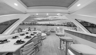 FREEDOME For Sale image3