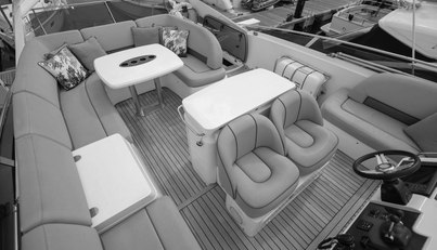 Enzo For Sale image67