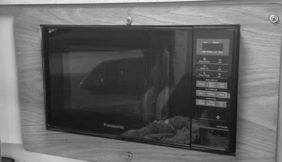 Reflection For Sale image18