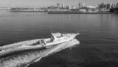 MISS MICHELLE For Sale image19