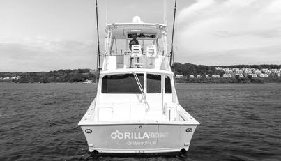 Gorilla Bowt For Sale image23