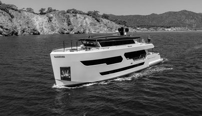 LADY LUNA For Sale image9