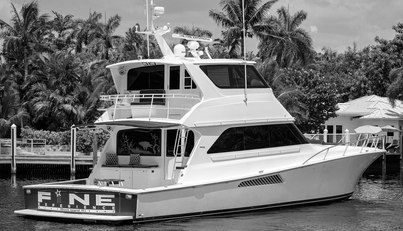 noname For Sale image8