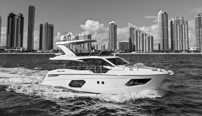 EMERALD For Sale image2