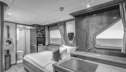 TRUE NORTH For Sale image35