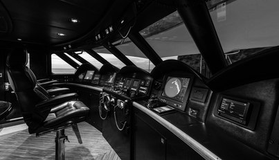 FLYING MANTA For Sale image16