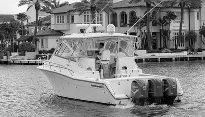 noname For Sale image6