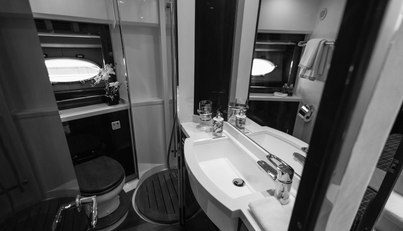 Enzo For Sale image92