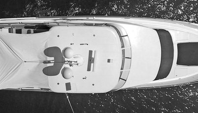 Southern Lady For Sale image7