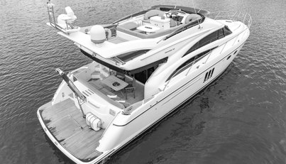 Enzo For Sale image18