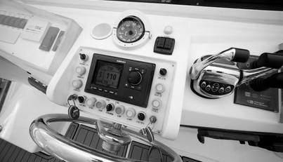 Southern Lady For Sale image20