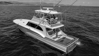 WILL RISE For Sale image9