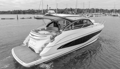 Seadoodle For Sale image7