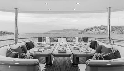 HERCULES For Sale image15