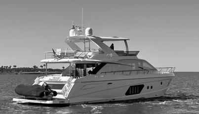 noname For Sale image6