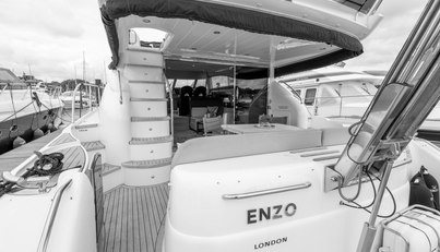 Enzo For Sale image17