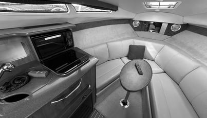 Mystique For Sale image30