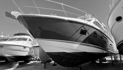 noname For Sale image4