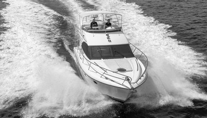 Catia J For Sale image14