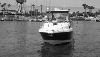 Delfini For Sale image4