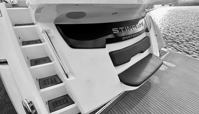 STINGRAY For Sale image15