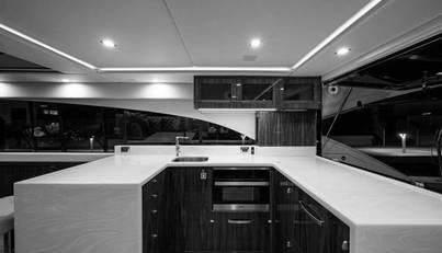 Greyhound For Sale image33