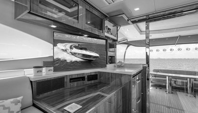 Bald Eagle For Sale image36