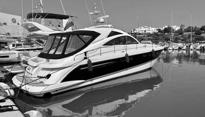 noname For Sale image49